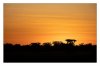 Rainer Herzer &quot;Abendstimmung in Namibia&quot;