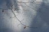 Bernd Sonne &quot;Winter 2021 - 5&quot;