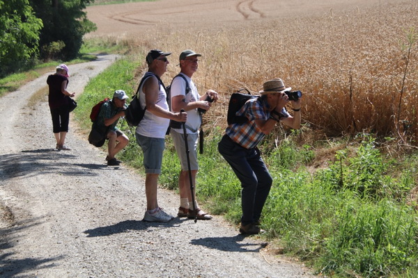 2019 07 27 FK Wanderung Dornburg 0076 k