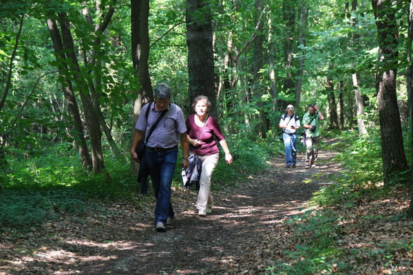 2016 07 16 FK Wanderung Hufeisen 0081